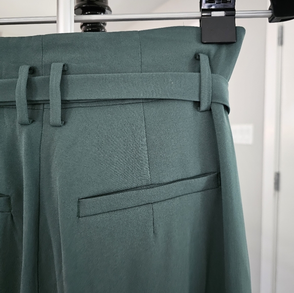 Pine Green pants from Babaton, Aritzia - Picture 6 of 6
